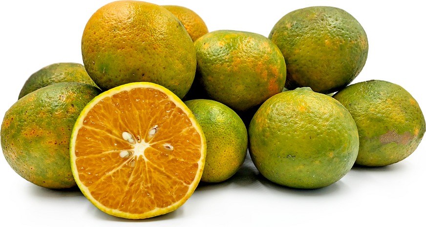 Tahitian Oranges picture