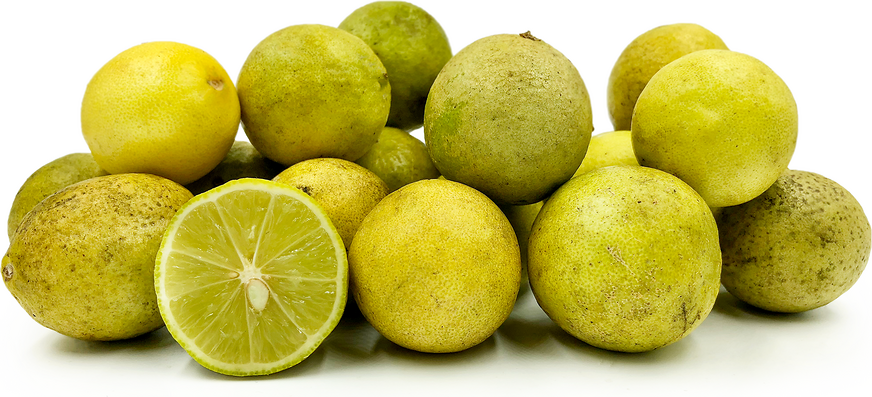 Tahitian Limes picture