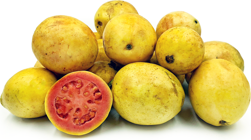 Tahitian Guavas picture