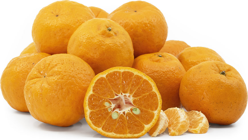 Ponkan Tangerines picture