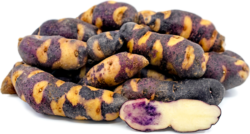 Blue Raccoon Fingerling Potatoes picture