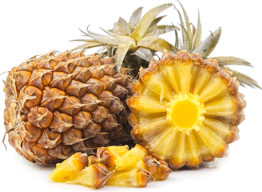 PINEAPPLE – Common Varieties – TFNet – International Tropical Fruits Network