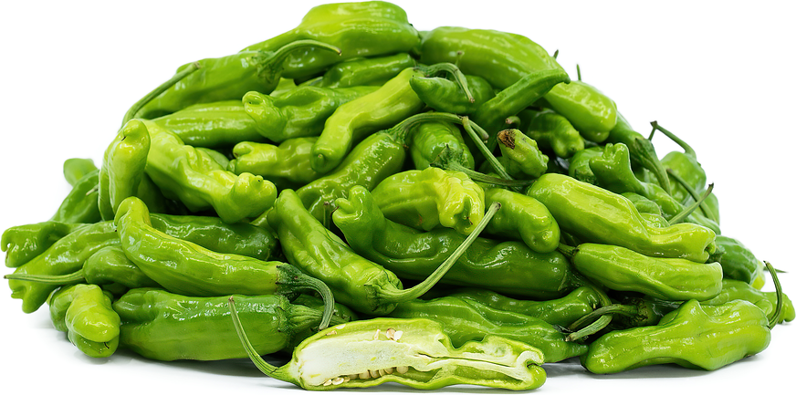 Green Shishito Chile Pepper picture