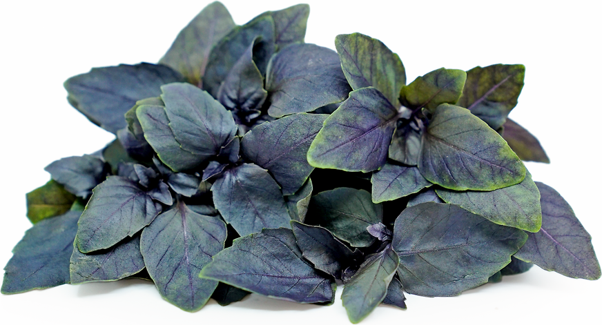 Petite® Opal Basil picture