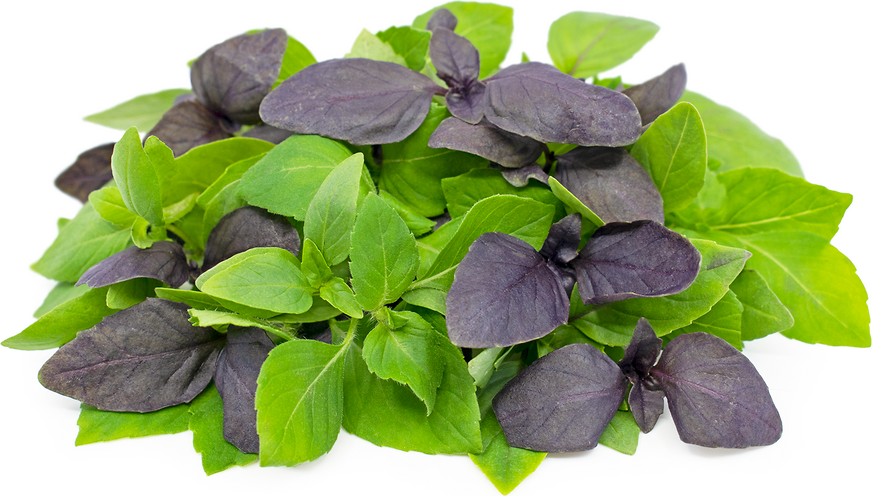 Petite® Basil Mix™ picture