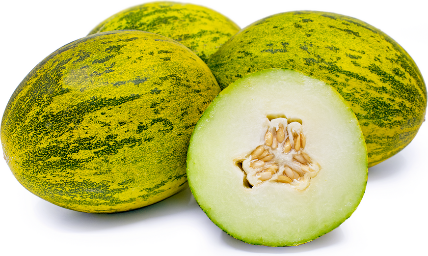 Lambkin Melon picture