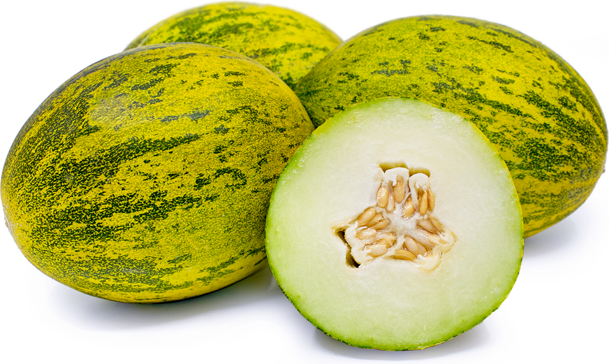 Lambkin Melons picture