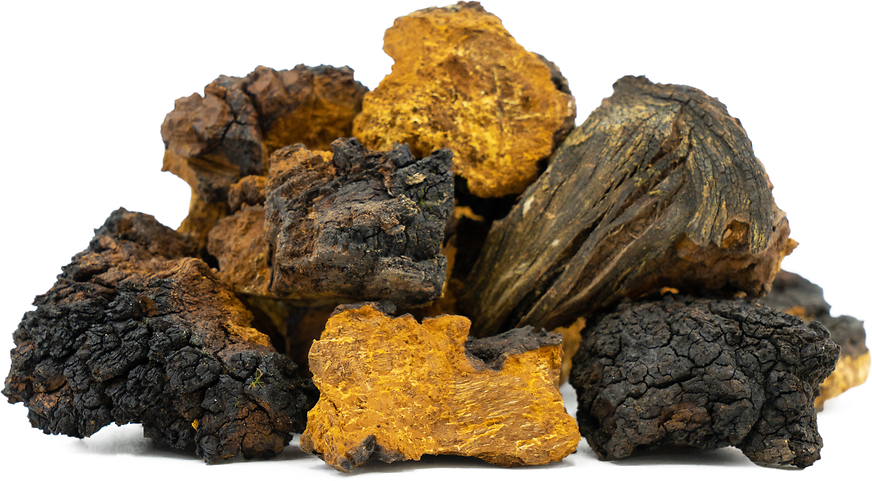 Chaga Mushrooms picture