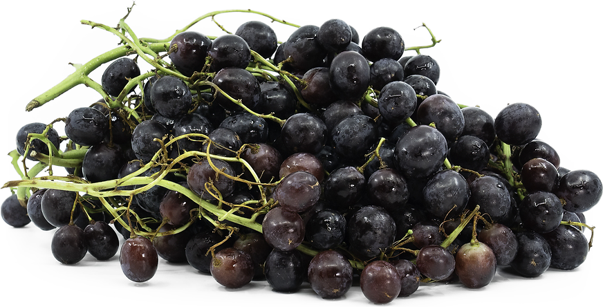 Sweet Purple Grapes Information and Facts