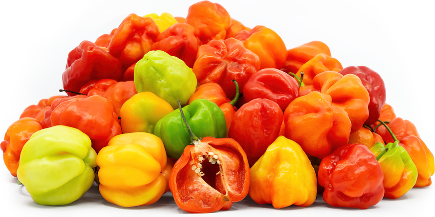 Aji Dulce Chile Peppers Information and Facts