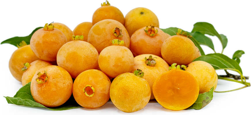 Guabiruba Fruit picture