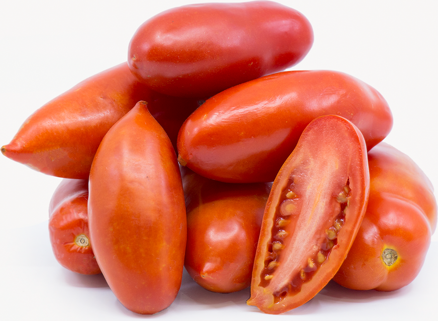 San Marzano Tomato Information and Facts