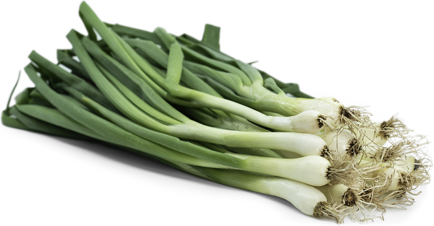 Spring Onions picture