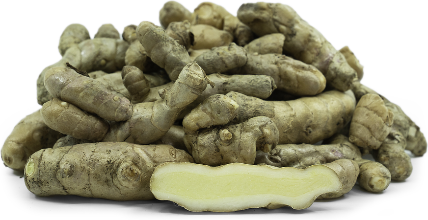 White Turmeric Root picture