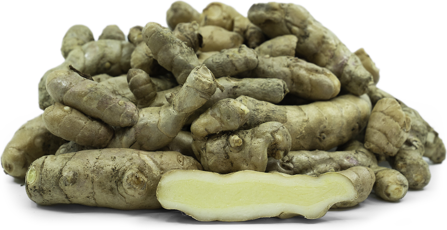 White Turmeric picture