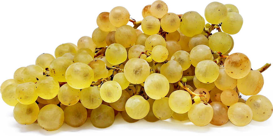 Mosaic Grapes picture