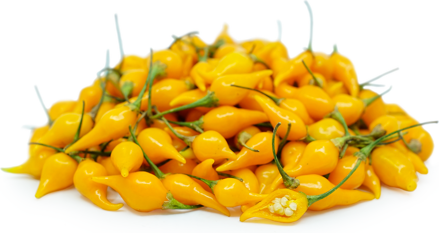 Yellow Biquinho Chile Pepper picture