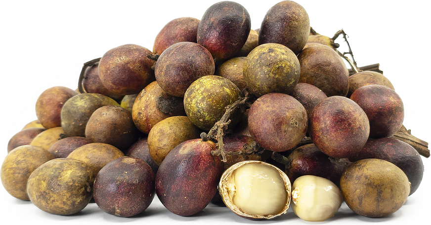 Matoa Fruit Information and Facts