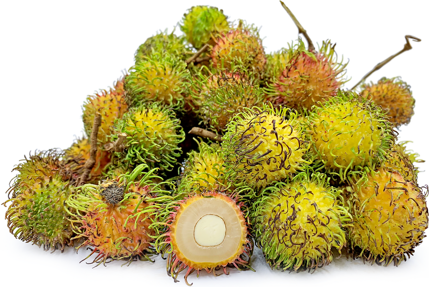  Rapiah  Rambutan  Information and Facts