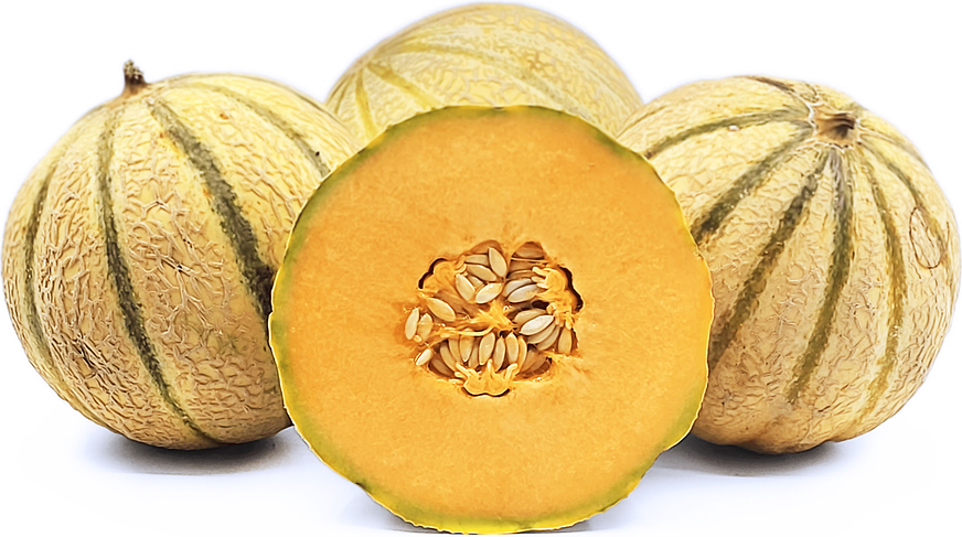 Philibon Melons picture