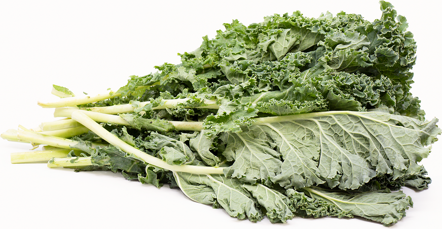 Green Kale picture