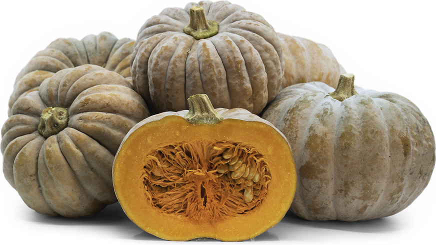 Black Futsu Squash picture