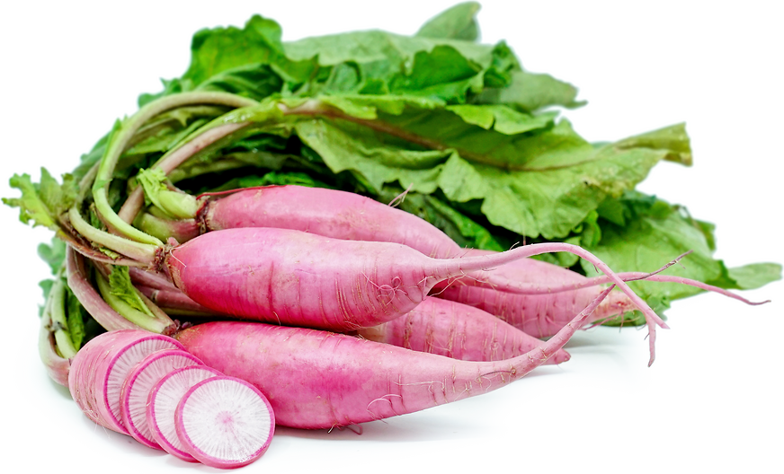 Daikon Blush Radish picture