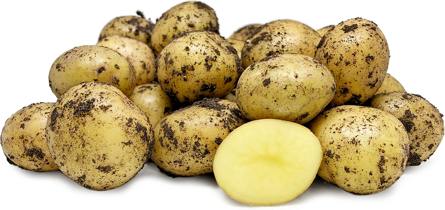Vildmose Potatoes picture
