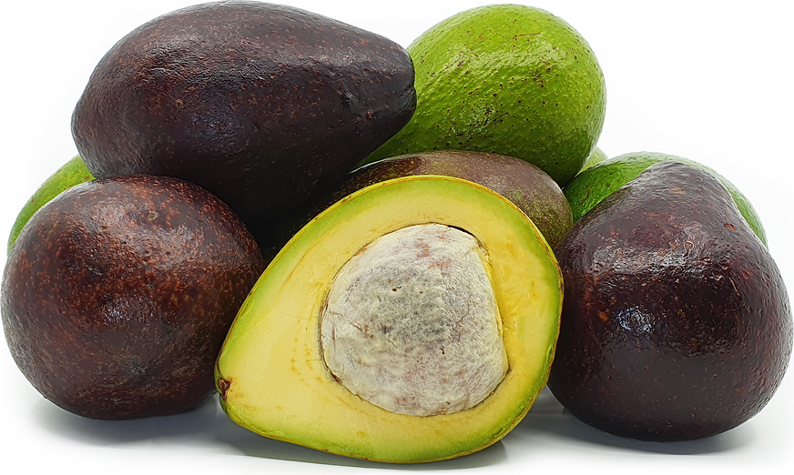 Indonesian Avocados Information and Facts