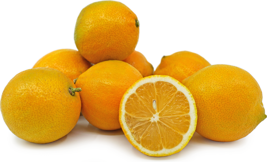 Lemon Oranges picture