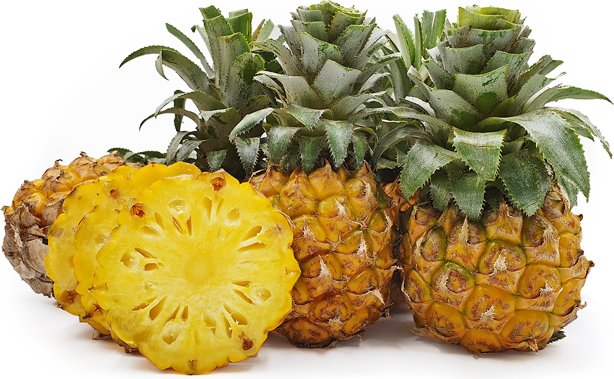 Honey Malang Pineapples picture