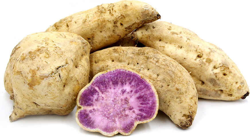 Okinawan Yams picture