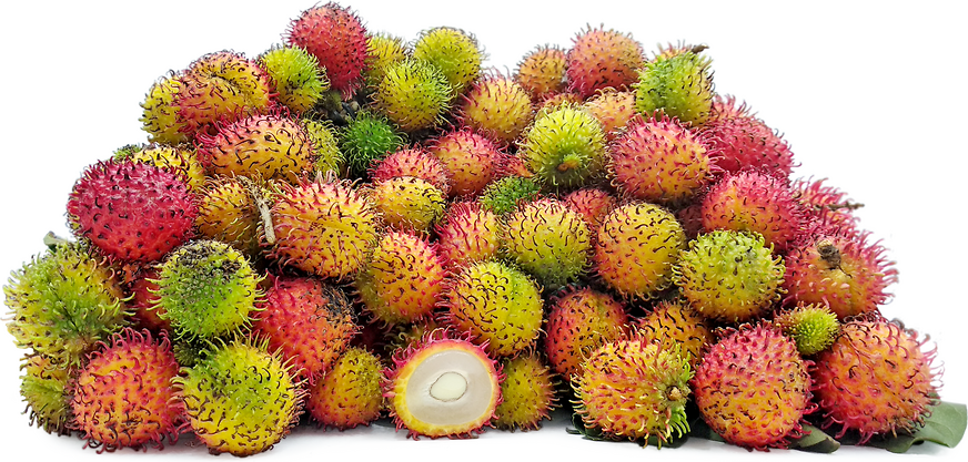 Aceh Pelat Rambutan picture