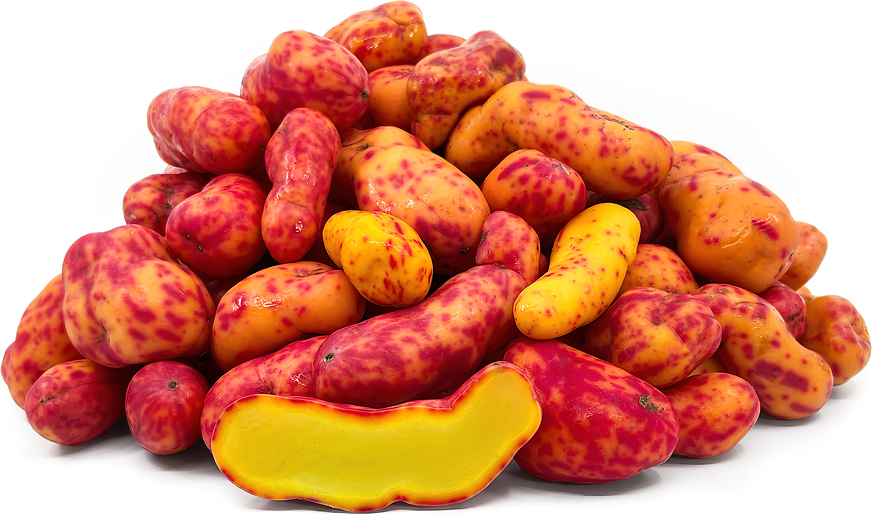 Ulluco Tubers picture