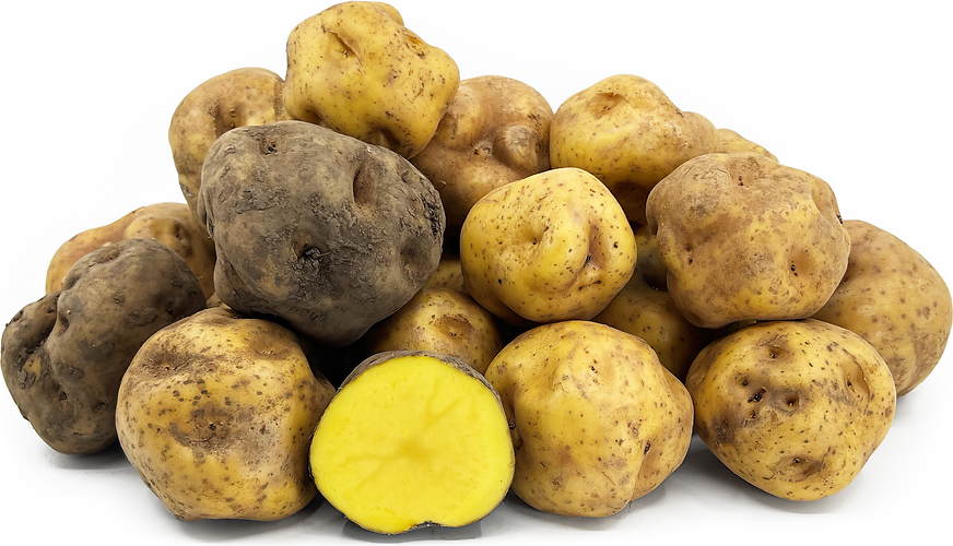Amarilla Tumbay Potatoes picture