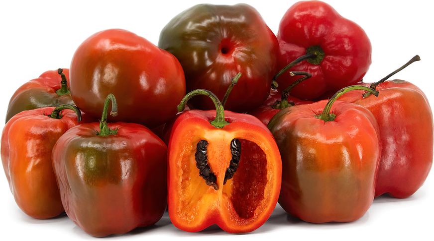 Rocoto Chile Peppers picture