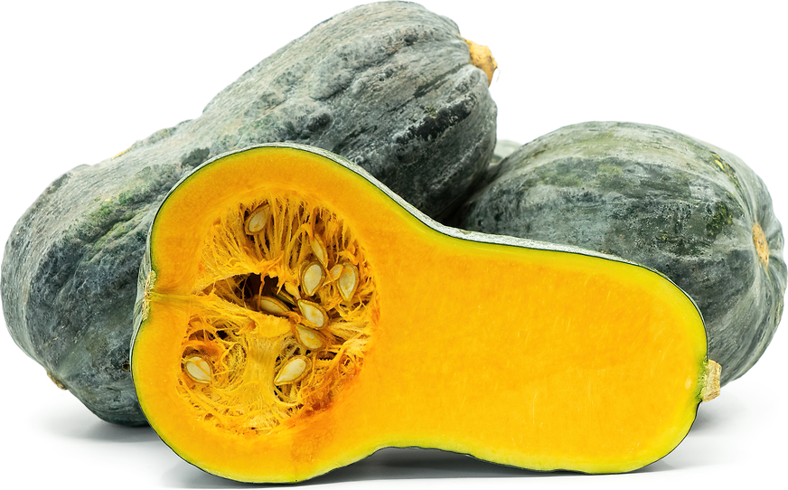 Loche Zapallo Squash picture