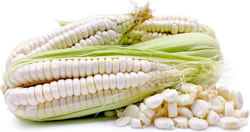 Peruvian Corn picture