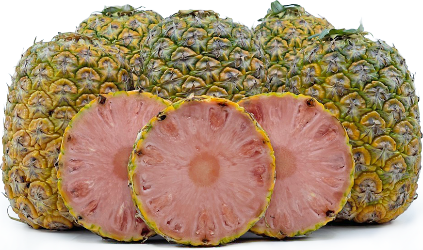 Pinkglow™ Pineapple Information, Recipes and Facts