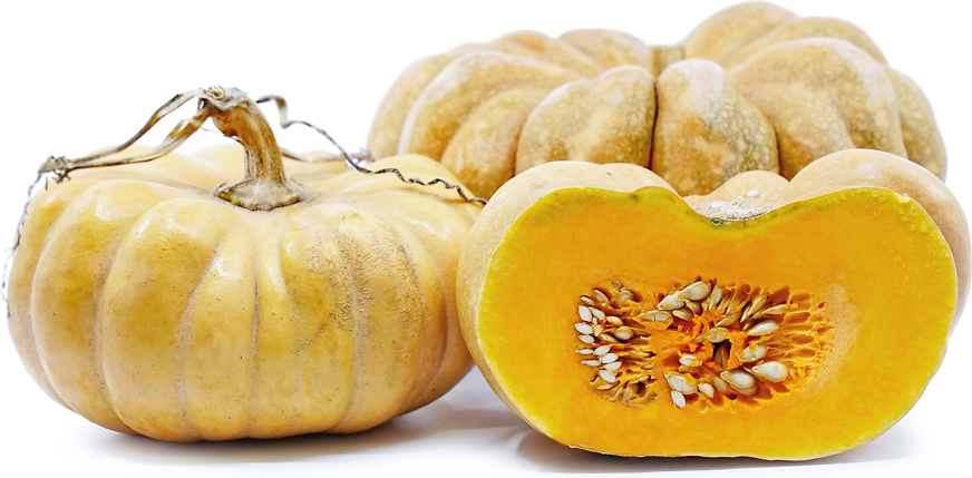 Thai Pumpkin Squash picture