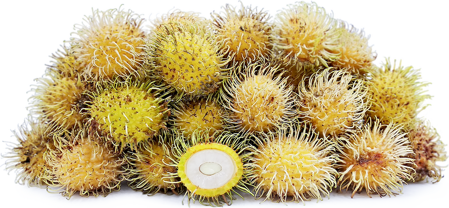 Kuning Gading Rambutan picture