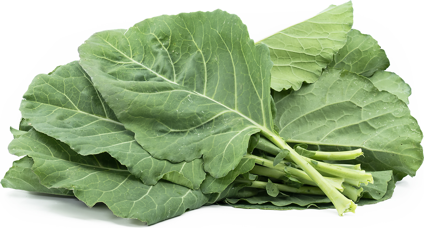 Fresh Organic Collard Greens Local Farm Produced Stock Photo - Image of  diet, cooking: 214126068