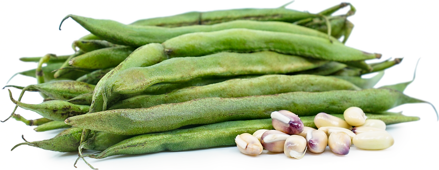 Long Valor Beans Information and Facts