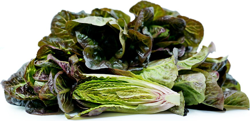 Red Breen Lettuce picture