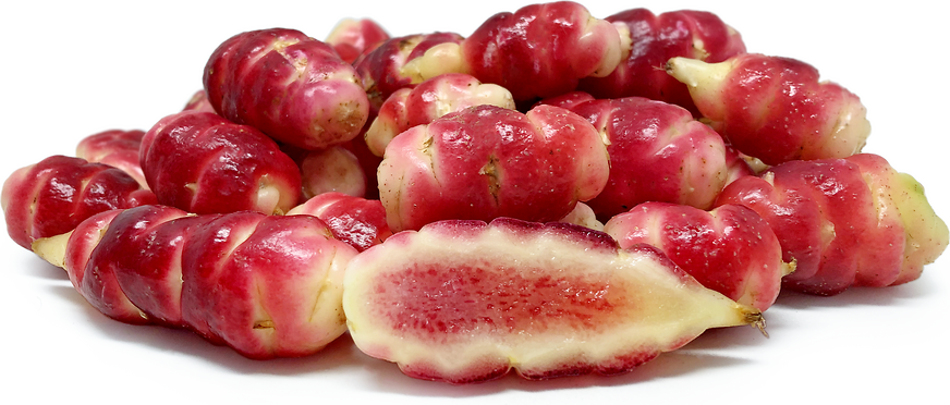 Red Bolivian Oca picture