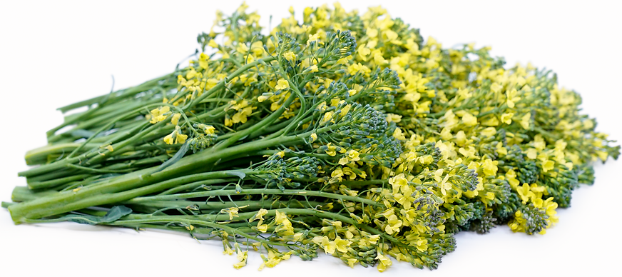 Broccoli Flowers picture