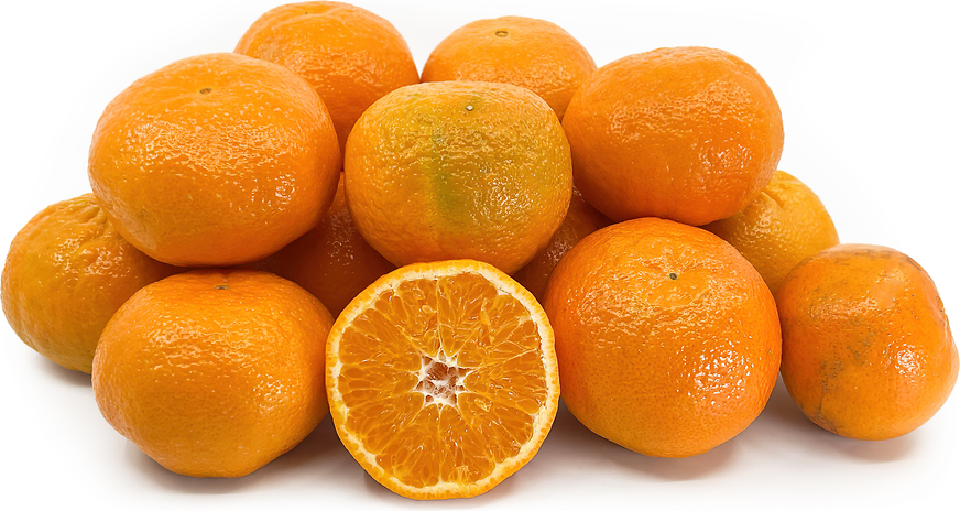 Orri Tangerines picture