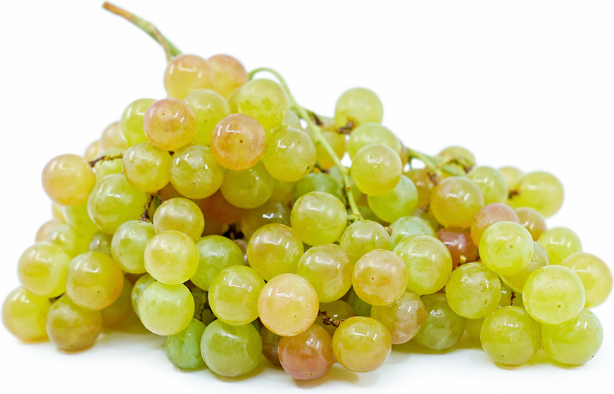 Pink Muscat Grapes picture