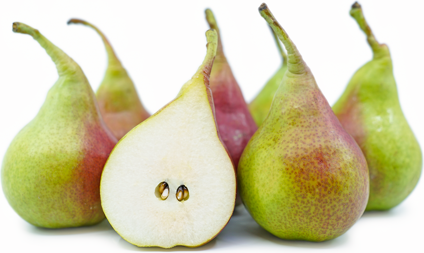 Forelle Queens Pears picture