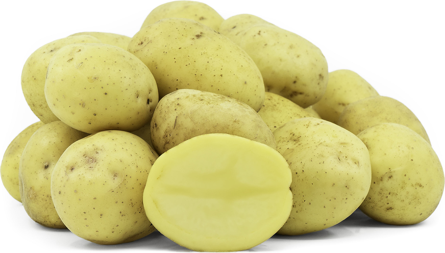 Satina Potatoes picture